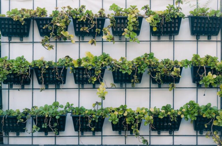 20 Modern Garden Design Trends Homeowners Are Loving in 2026