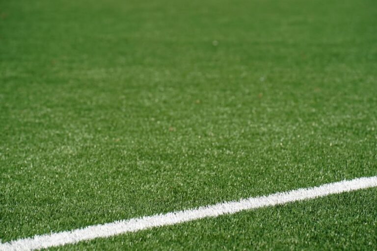 Artificial Turf vs Natural Grass: Cost, Maintenance, and ROI Compared