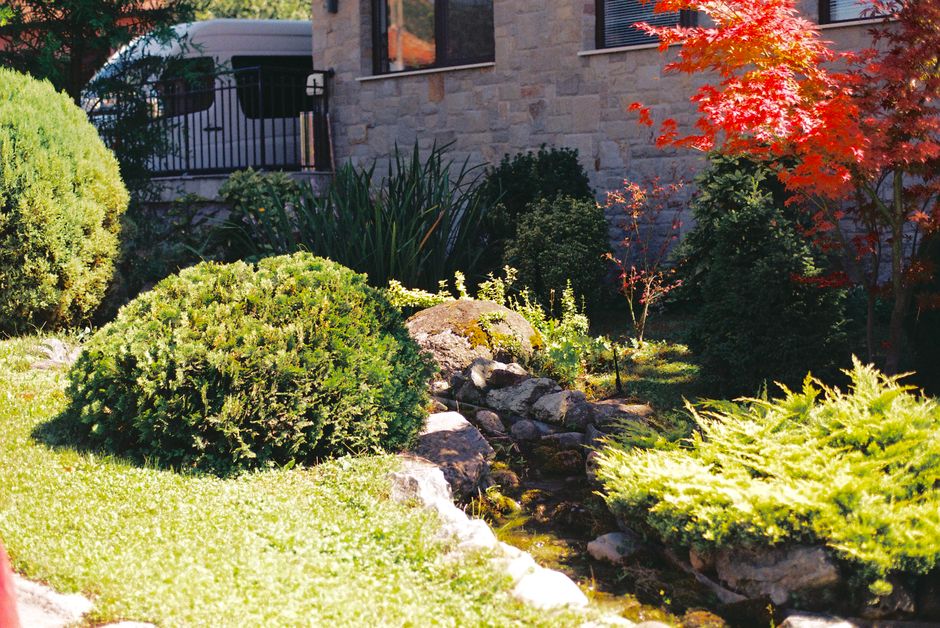 Backyard Landscape Design: A Step-by-Step Planning Guide for Beginners