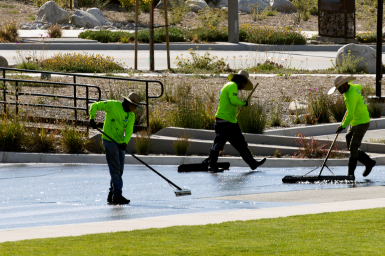 Commercial Landscaping Services: What They Cost and How to Budget