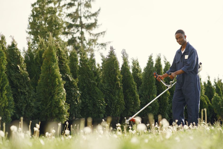 Commercial Landscaping Services: What They Cost and How to Budget