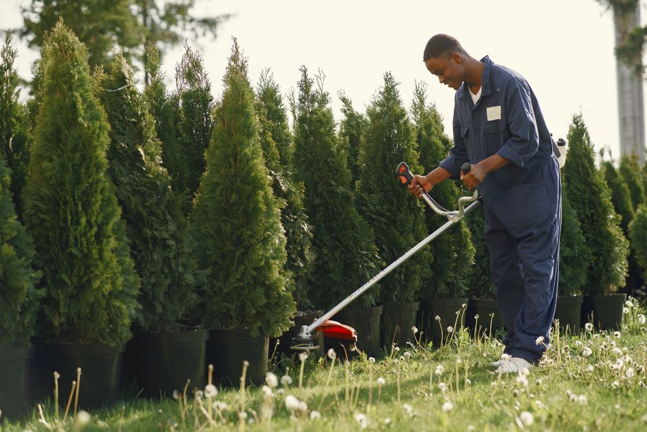 How Much Does Professional Landscaping Cost in 2026? A Complete Price Guide