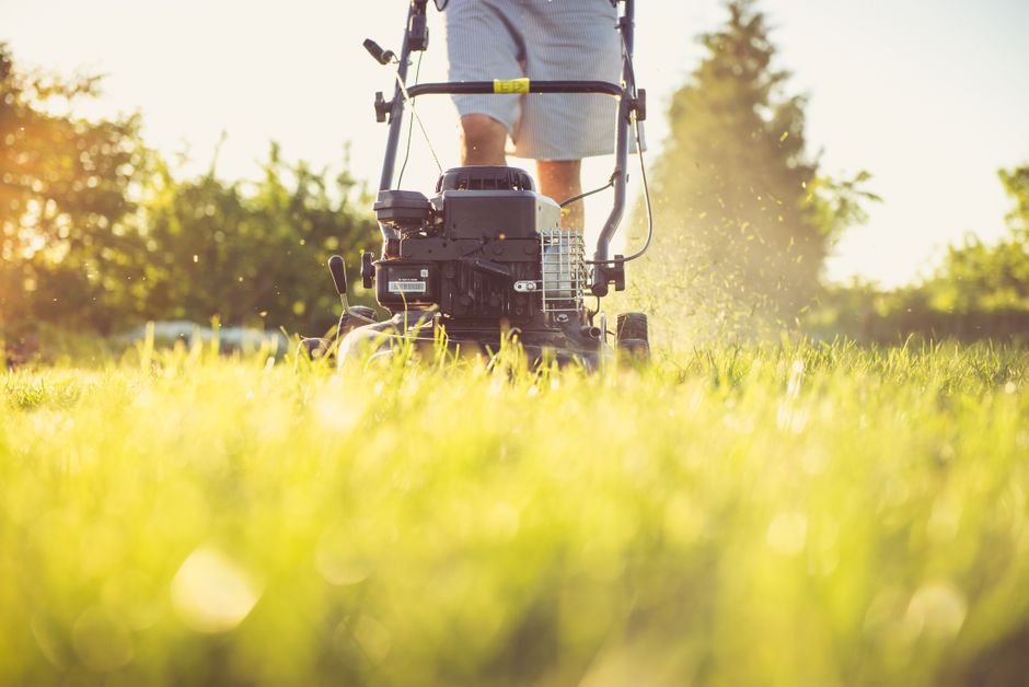 Seasonal Lawn Care Calendar: Month-by-Month Guide for a Healthy Yard