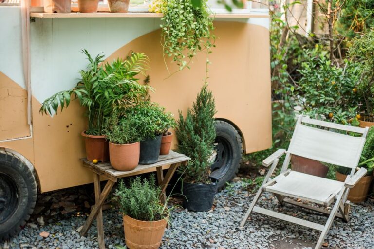 Small Backyard Ideas: Maximizing Space in Compact Outdoor Areas