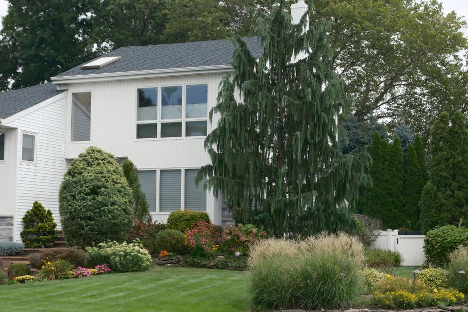 The Real ROI of Landscaping: How Much Value It Adds to Your Home